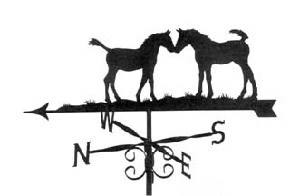 Two Foals weather vane